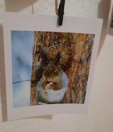 Apartman L'esquirol !